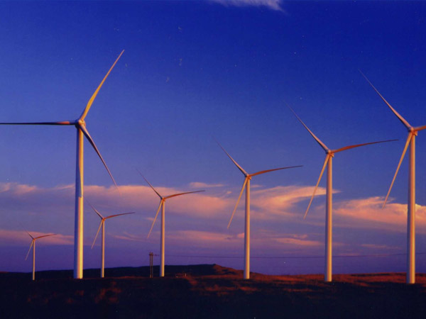 Disc three-dimensional packaging machine introduction